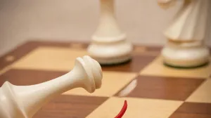 Ход конём: настраиваем стратегию поступления в вуз