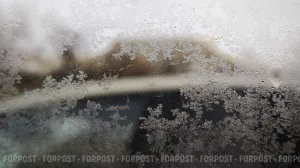 Крым переживёт ещё две ночи заморозков