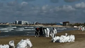 Новый выброс и нефтяное пятно в Чёрном море: что известно о ситуации в Анапе