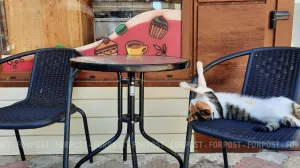 В России набирает обороты «сонный туризм»