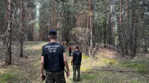 «Луиза-Алерт»: трёхлетняя девочка, которую бросила сестра, чудом выжила в лесу