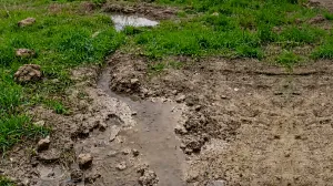 Cевастопольцы нашли родник, но в Водоканале их расстроили