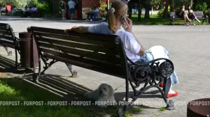 Как заводчики наживаются на больных животных и что делать хозяевам