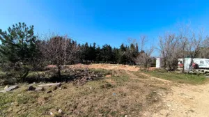 У парка Победы в Севастополе нашли краснокнижные растения на участке под нужды долгостроя