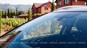 Житель Севастополя заплатил за плевок на соседское авто