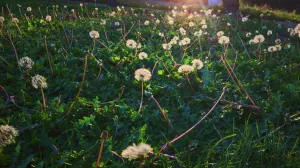 В Севастополь наконец возвращается весеннее тепло