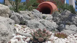 Севастопольцы могут выбрать территории для благоустройства