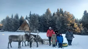 От тайги к морю: как новые жители находят своё место в Севастополе