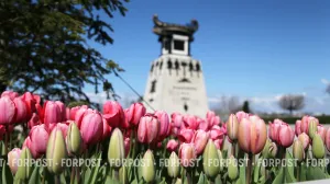 Севастополь ждут погодные качели перед майскими праздниками