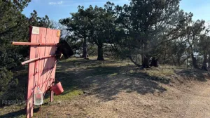 Неаккуратный костёр в лесу открыл в Крыму сезон природных пожаров 