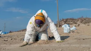 Мешки и люди в белых костюмах: что происходит на побережье курортного города России