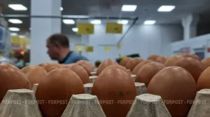 Мартовские ценовые качели: рыба в минусе, яйца — в плюсе