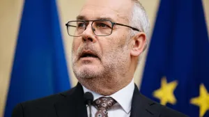 Президент Эстонии был раскритикован собственным МИДом за «пророссийские» речи