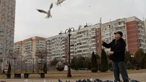 Городские птицы боятся женщин: чем озадачились орнитологи