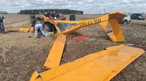 В Омской области разбился самолёт — два человека погибли