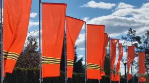 Солнце и немного тумана: погода в праздники не подведёт севастопольцев