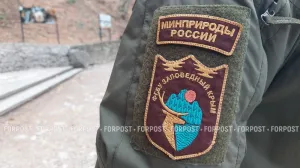 Популярные пешеходные тропы Ялтинского заповедника на несколько дней станут недоступны 