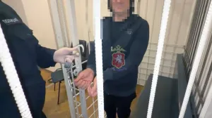 Обвиняемый в мошенничестве бизнесмен совершил новое преступление под подпиской о невыезде