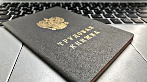 Кабинет против свободы: почему в офисах не удерживает даже стабильность