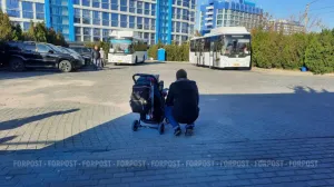 Мужчин отправят в «школы для беременных»: к чему это может привести