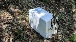 Ночью с БПЛА на Севастополь сбросили контейнер со взрывчаткой