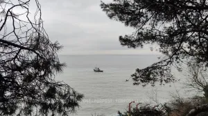 Что нельзя ловить в Чёрном море летом: в Крыму ввели сезонный запрет