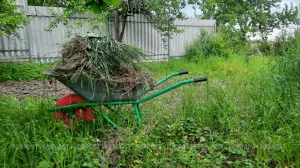 Кардиолог рассказал, можно ли работать на огороде при болезнях сердца
