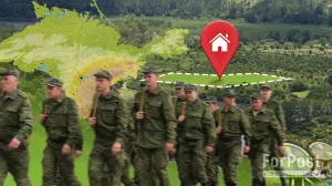В Крыму и Севастополе уточнили порядок выдачи земли и выплат участникам СВО: что изменилось