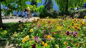Какими будут первые летние выходные в Крыму и Севастополе