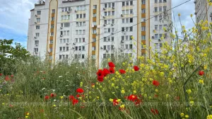 Нормативная стоимость «квадрата» жилья изменится — как это отразится на гражданах