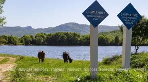 С какими запасами воды Крым подошёл к летней жаре 
