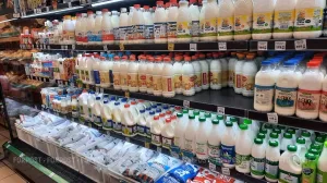 Сбои «Честного знака» в Крыму и Севастополе: продукты будут, магазины не накажут