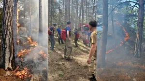 В Крыму горел Ялтинский горно-лесной заповедник 