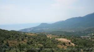 Как один окурок может сжечь десятки гектаров в Крыму 