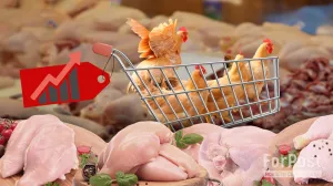 Производители курятины на грани: что будет с ценами?