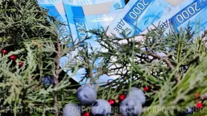 Житель Крыма лишился земельного участка из-за многомиллионного долга по алиментам