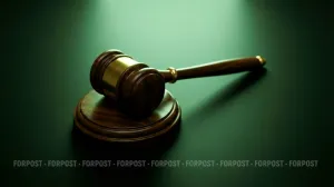 Упавшая ветка и горящий камыш обошлись Симферополю в несколько миллионов