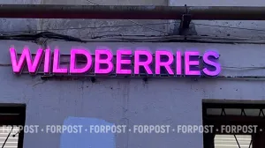 Почему в Казахстане и Киргизии тревожатся из-за ударов по Wildberries в России