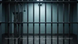 Бывшие севастопольские чиновники получили длительные сроки по делу о строительстве укреплений