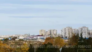 Крысы в подвале заставили прокуратуру вмешаться в работу УК в Севастополе