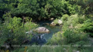 Июльские ливни разделили реки Крыма на богатых и бедных