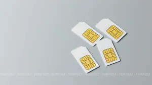 Двое севастопольцев организовали нелегальную продажу SIM-карт