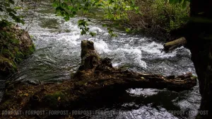 Зачем Севастополю ещё одна организация по контролю над водой