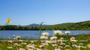 На сколько Крыму хватит воды