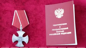 Погибших в Севастополе пиротехников МЧС и охранника наградят орденами мужества
