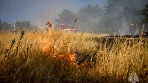 В Ялте продолжает гореть лес