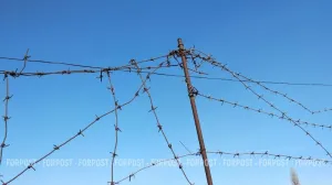 Среди вернувшихся из украинского плена 103 российских бойцов оказались крымчане