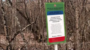 В заказнике Севастополя 1573 участка оказались без важных отметок