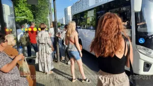 Частные перевозчики Севастополя просят власти помочь с безопасностью