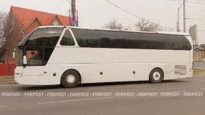 Между Севастополем и Санкт-Петербургом запустят прямой автобус